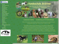 Hundeschule-gruettner-sz.de