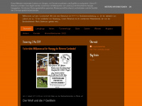 rvcarolinenhof.blogspot.com Webseite Vorschau