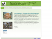 kzvu15.de Webseite Vorschau