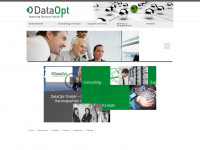 dataopt.com Webseite Vorschau