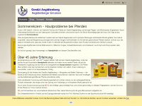 sommerekzem.com Webseite Vorschau