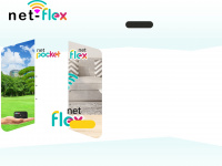 net-flex.com Webseite Vorschau