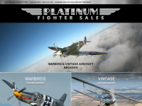 platinumfighters.com Webseite Vorschau