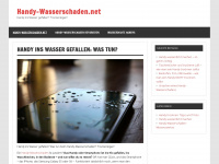 handy-wasserschaden.net Webseite Vorschau
