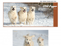 golden-dogs.de Webseite Vorschau