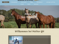 molitor-qh.de Webseite Vorschau