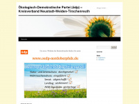 oedpnewwen.wordpress.com Webseite Vorschau