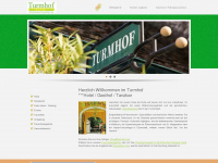 turmhof.com Webseite Vorschau