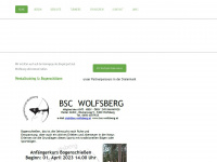 bsc-wolfsberg.at Thumbnail