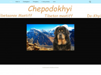 chepodokhyi.nl Webseite Vorschau