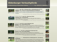 pferde-mecklenburg.de Webseite Vorschau
