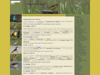 vogelbeobachtungen.de Webseite Vorschau