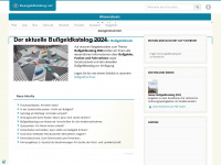 bussgeldkatalog.net Webseite Vorschau