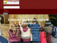 efb-ev.org Webseite Vorschau