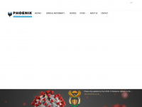 phoenixsurgical.co.za Webseite Vorschau