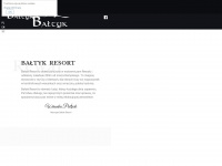 baltyk.com Webseite Vorschau