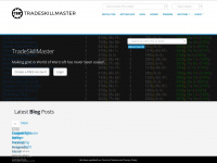 tradeskillmaster.com Webseite Vorschau