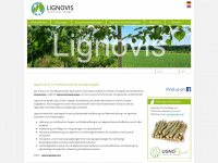 lignovis.com Webseite Vorschau