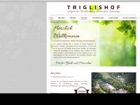 triglishof.de Webseite Vorschau