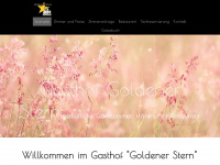 goldener-stern-iphofen.de Webseite Vorschau