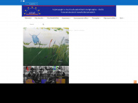 aeae.eu Webseite Vorschau