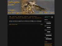 benifoto.ch Webseite Vorschau
