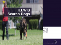 illwissardogs.org Webseite Vorschau