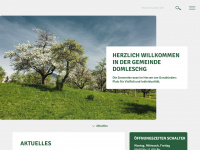 domleschg.ch Webseite Vorschau