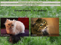 katzenfamilie.ch Webseite Vorschau