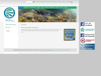 fischen.li Webseite Vorschau