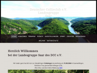 dcc-lgsaar.de Webseite Vorschau