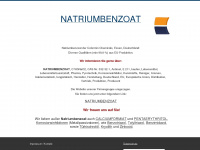 natriumbenzoat.com Webseite Vorschau