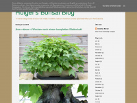 Holger-bonsai.blogspot.com