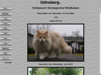 odinsberg.de Thumbnail