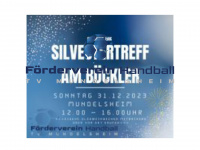 foerderverein-handball-tvm.de Webseite Vorschau