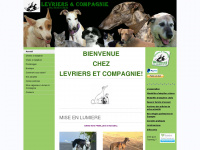 levriers-co.fr Webseite Vorschau