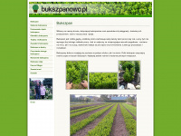 bukszpanowo.pl Webseite Vorschau