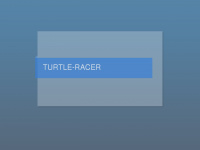 turtle-racer.de Webseite Vorschau
