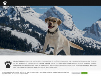 mein-labrador.com Webseite Vorschau