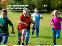 amn.nl Webseite Vorschau