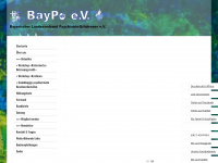 baype.info Webseite Vorschau