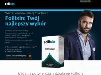 follixin.pl Webseite Vorschau