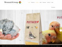 mennutigroup.it Webseite Vorschau