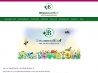 heilpflanzenschule.ch Webseite Vorschau
