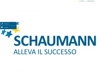 schaumann.it