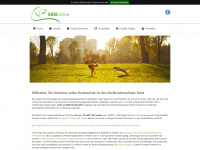 sknonline.ch Webseite Vorschau
