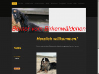 berner-vom-birkenwäldchen.de Webseite Vorschau