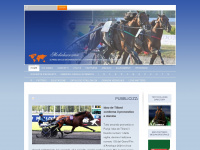 mediahorsesrace.com Webseite Vorschau