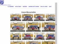 tsv-travemuende-handball.de Webseite Vorschau