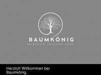 baumkoenig.at Webseite Vorschau